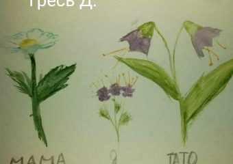 95569660_236893327372559_8974560179056017408_o-min-min