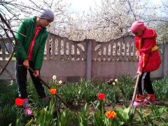 Всеукраїнська акція «За чисте довкілля»