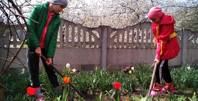 Всеукраїнська акція «За чисте довкілля»